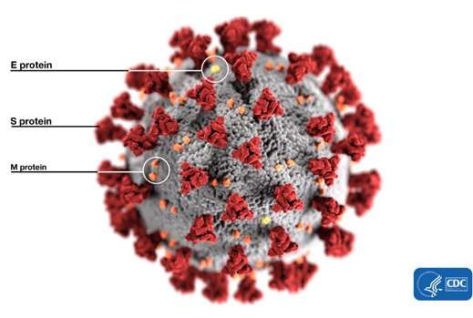 3D illustration of SARS-CoV-2 virus
