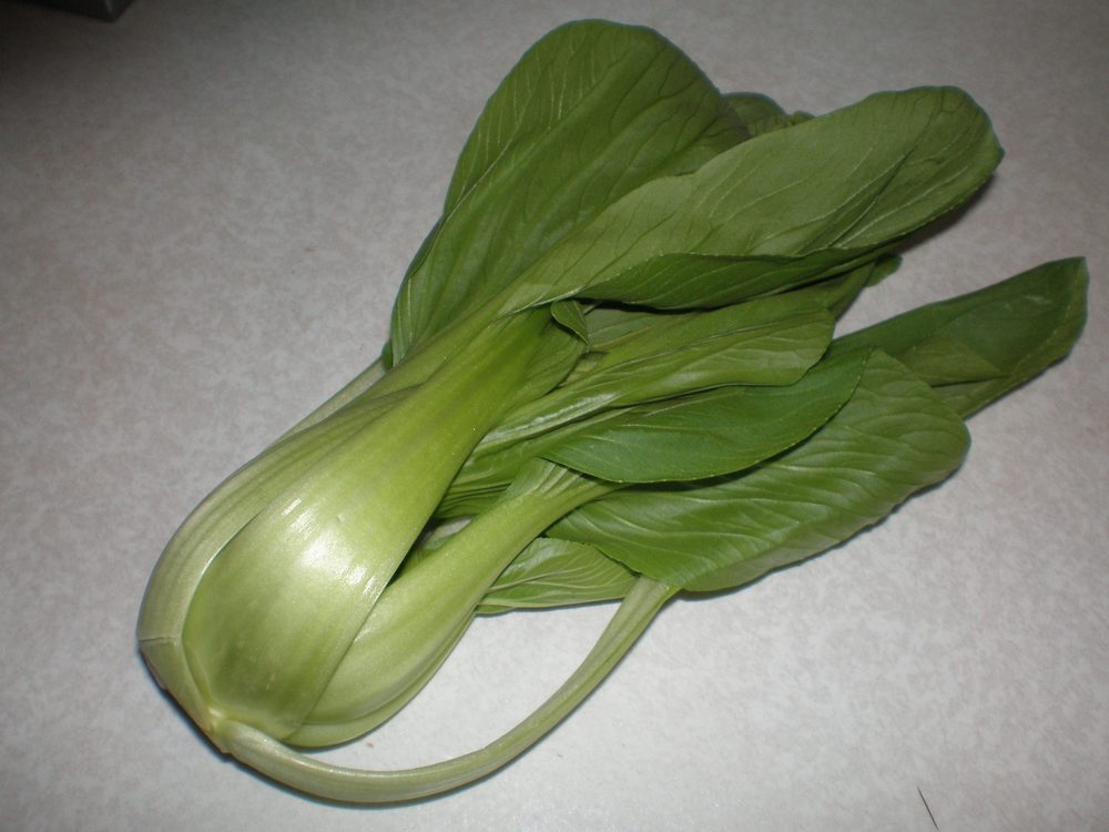 Chinese Cabbage