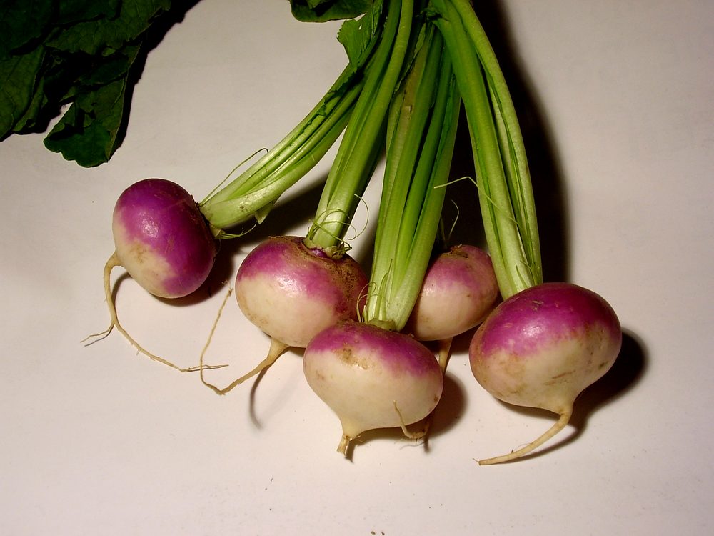 Turnip