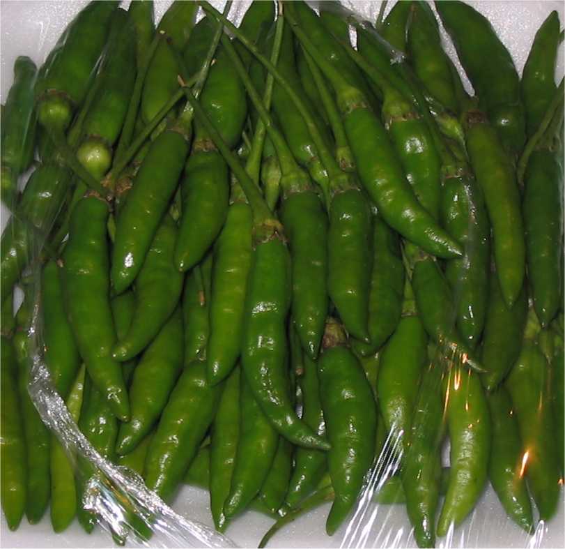 Cayenne