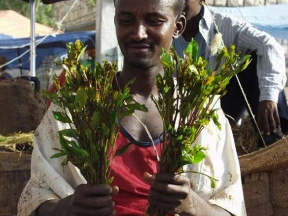 Khat