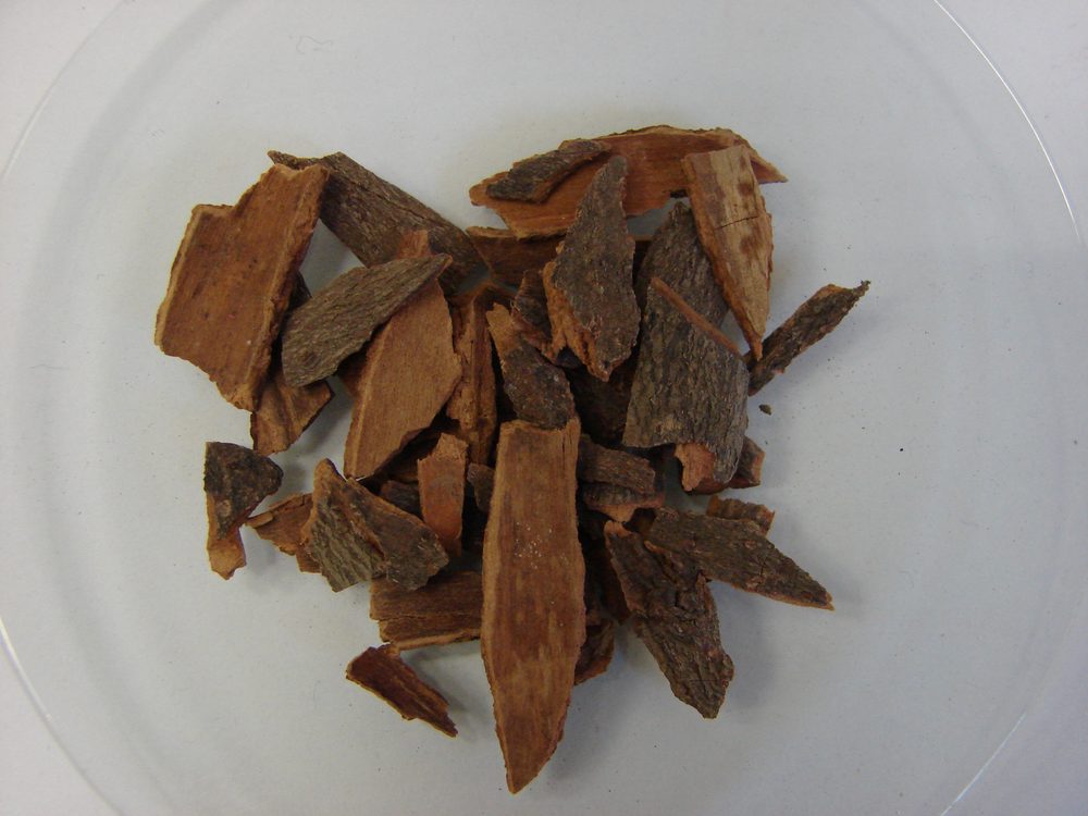 Cassia