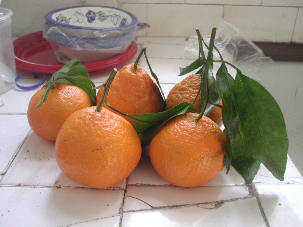 Mandarin