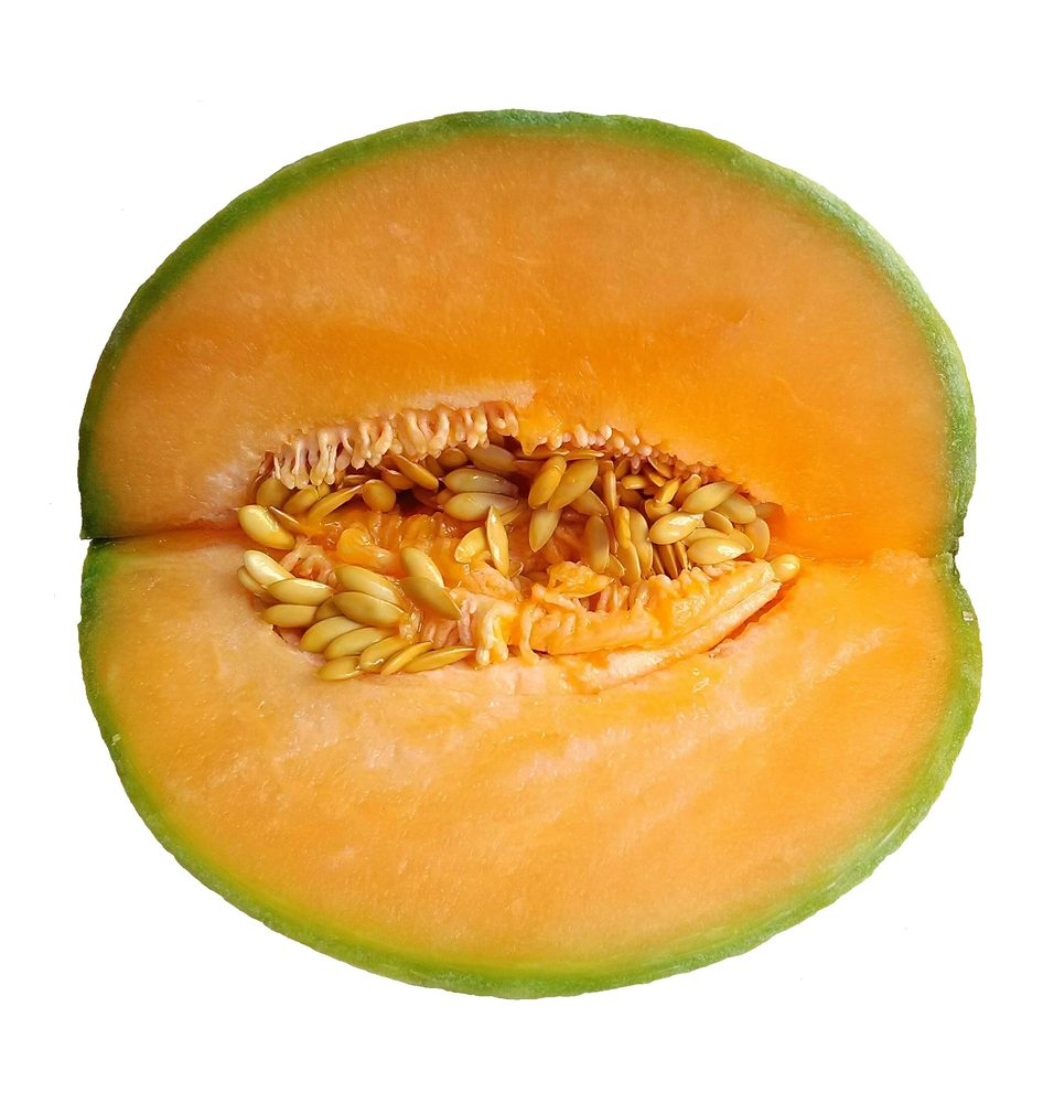 Cantaloupe
