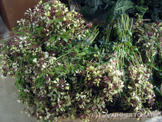 Achnef (Berber; BOU)