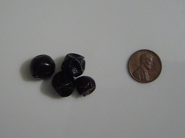 Black rumberry