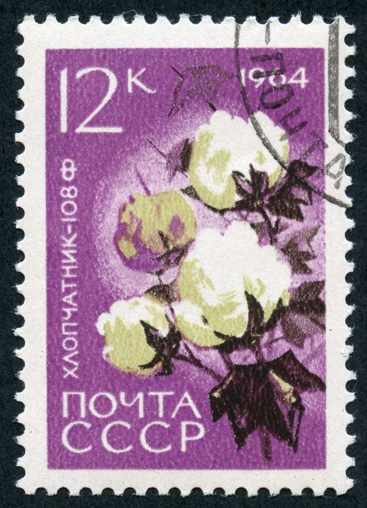Cotton