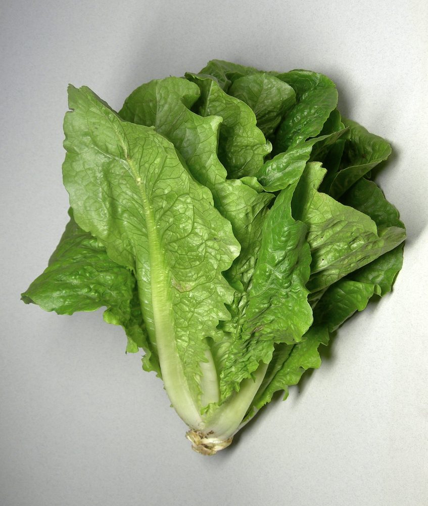 Lettuce
