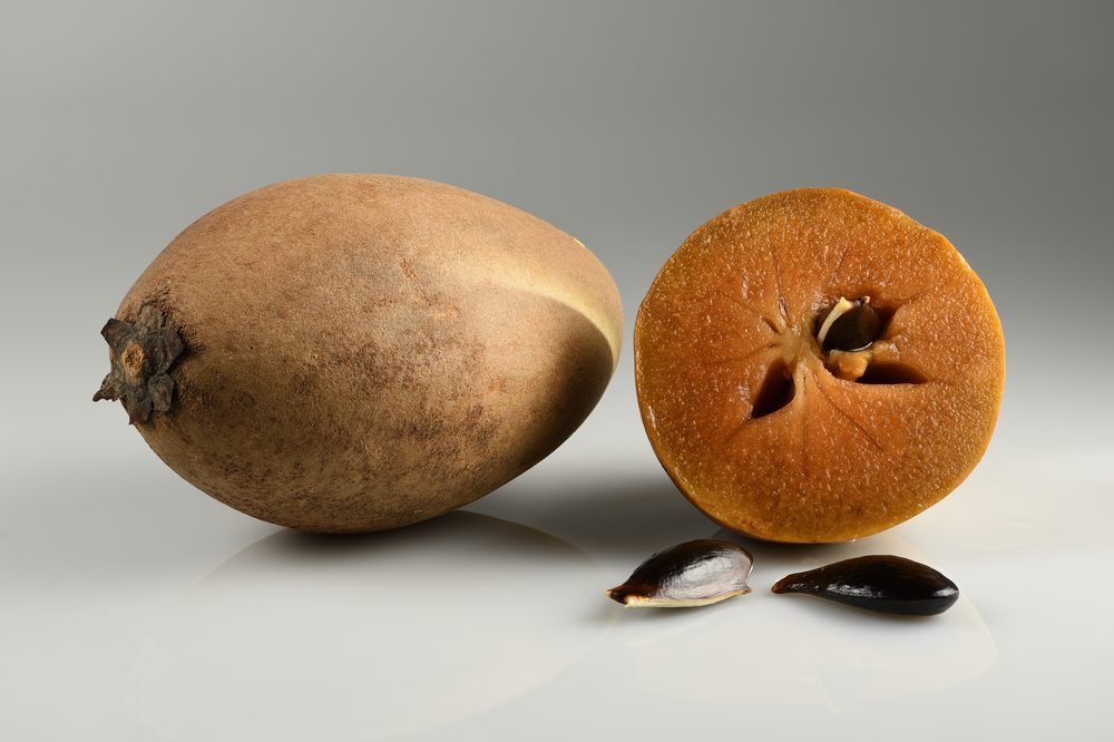 Sapodilla