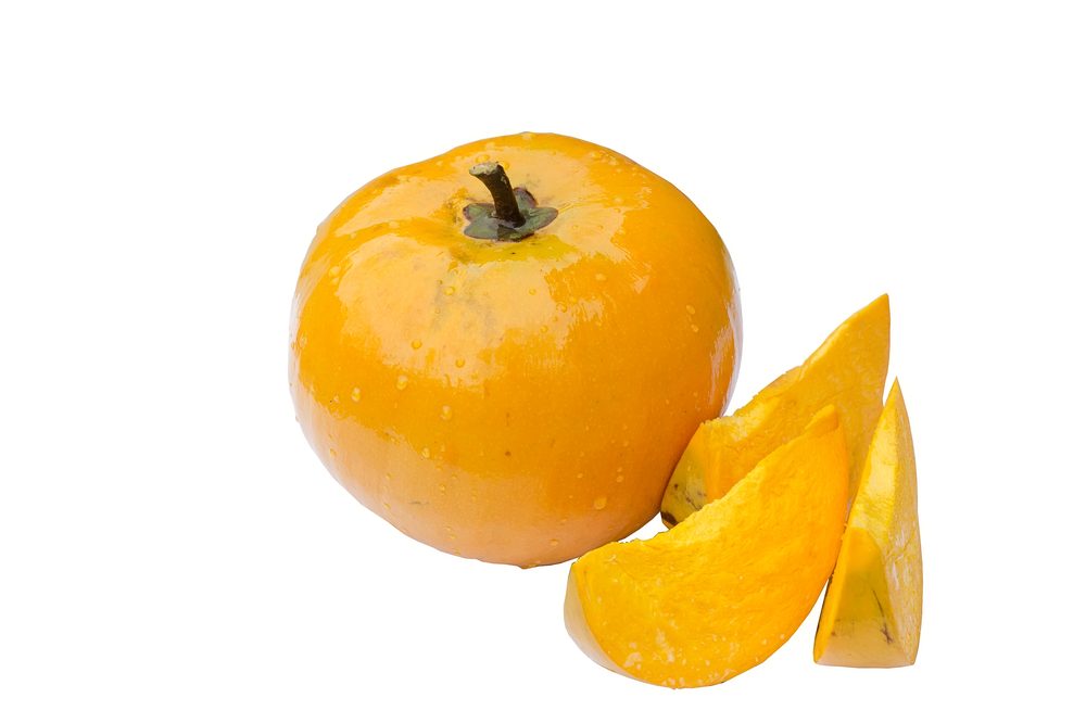 Canistel