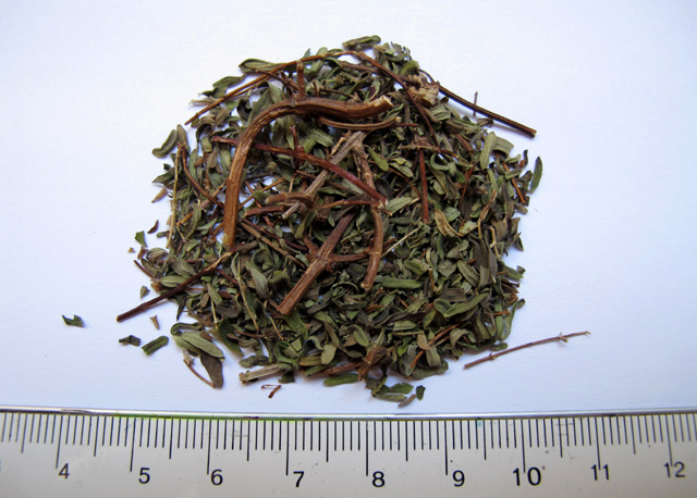 Small-Leaf Pampa Savory