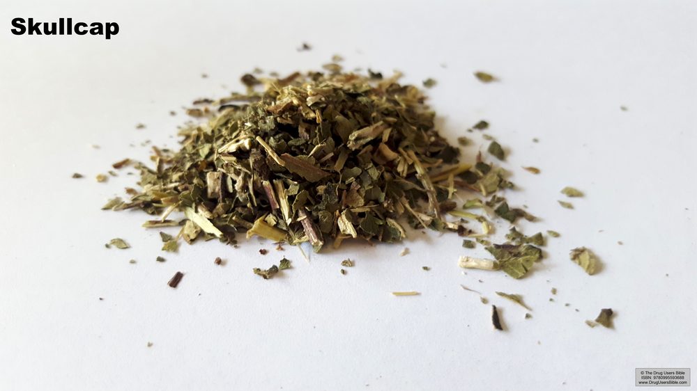 Skullcap