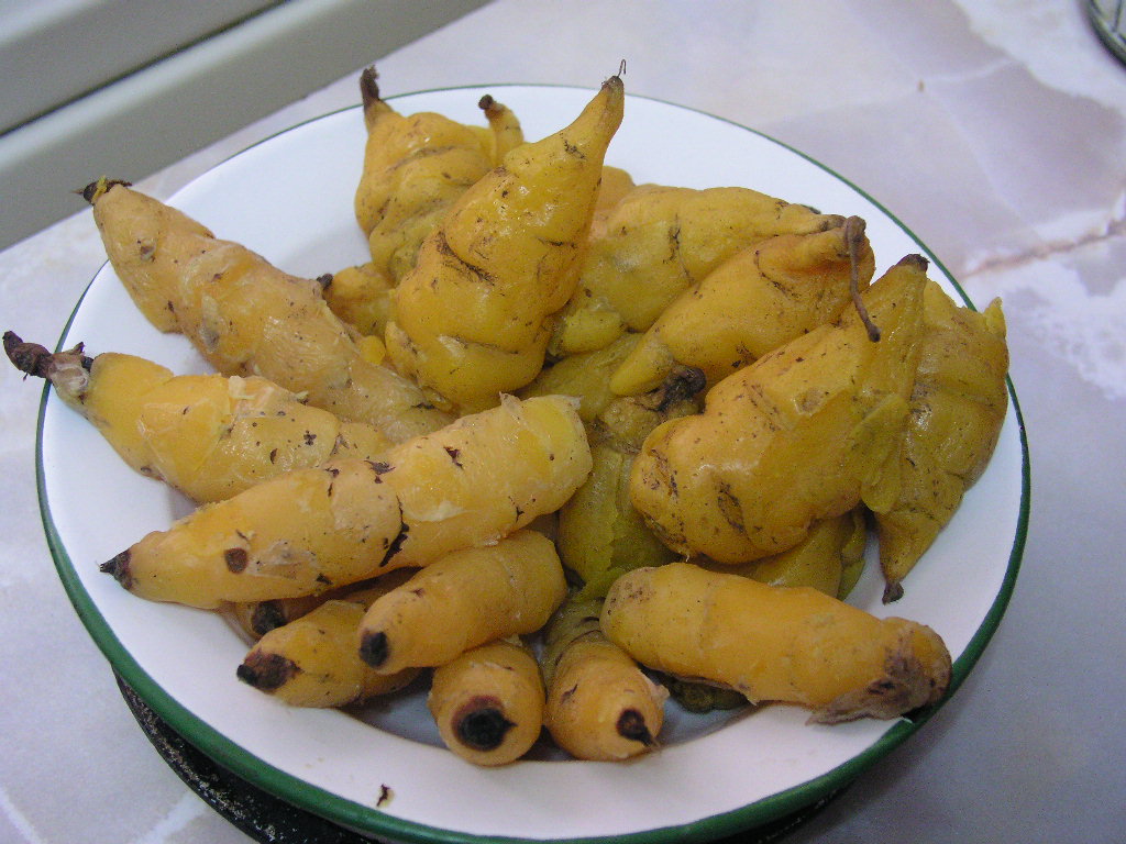 Anu