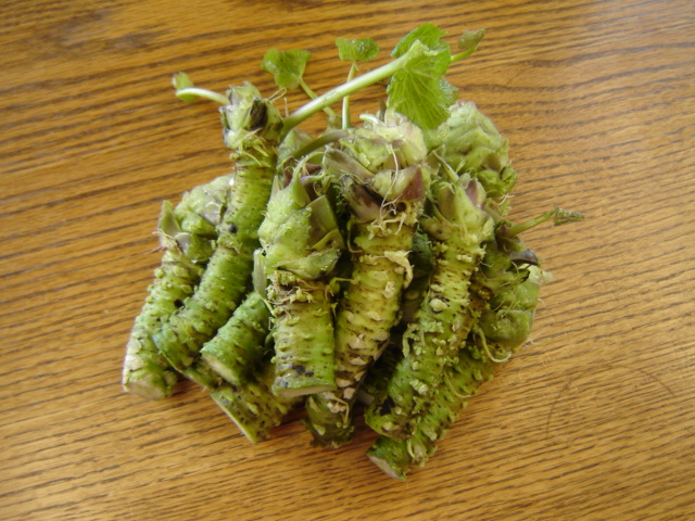 Japanese Horseradish
