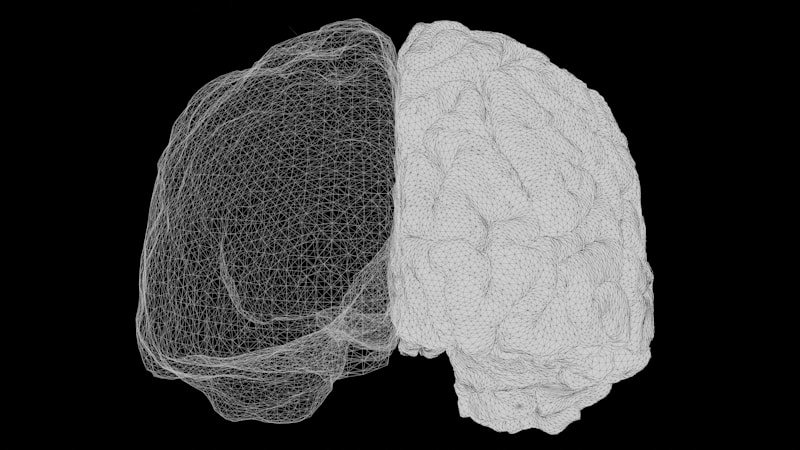 Brain wireframe