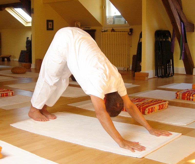 Downward-Facing Dog (Adho Mukha Svanasana)